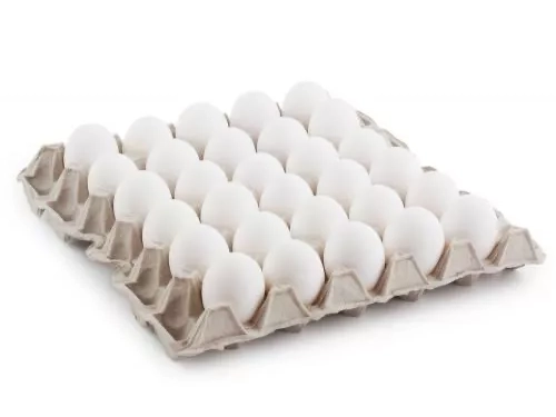 Maple Huevo Blanco 2 Kg