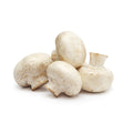 Champignon