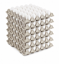 Maple Huevo Blanco 1.8 Kg x6